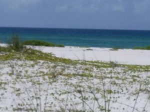 gulf-national-seashore-beach