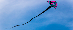 kitty hawk kite beach kite festival