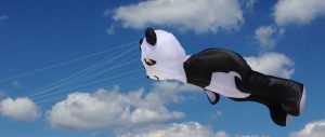 kitty hawk kites beach kite festival